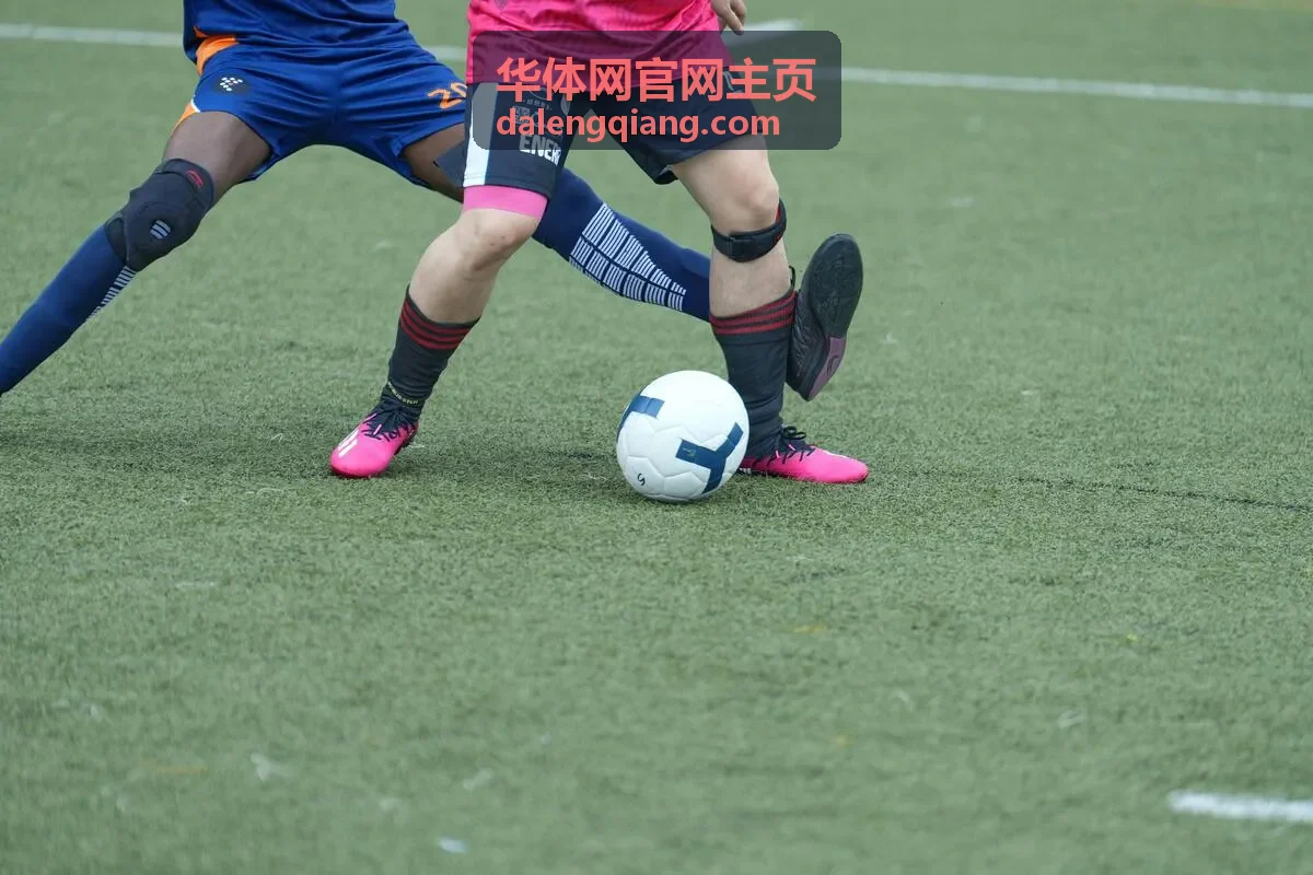 华体网官网主页直播互动任务卡片