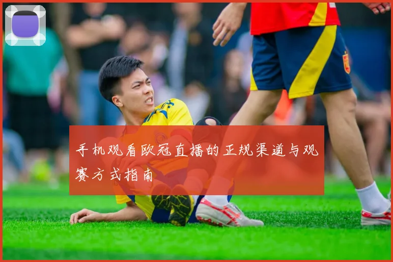 手机观看欧冠直播的正规渠道与观赛方式指南