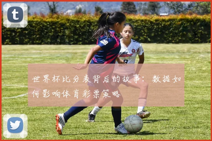 世界杯比分表背后的故事：数据如何影响体育彩票策略