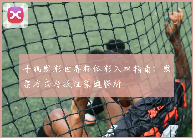 手机购彩世界杯体彩入口指南:购票方式与投注渠道解析