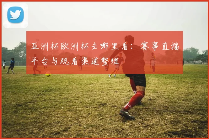 亚洲杯欧洲杯去哪里看：赛事直播平台与观看渠道整理