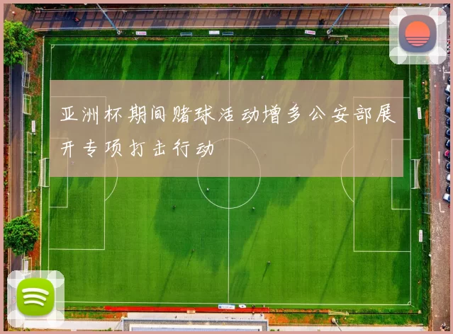 亚洲杯期间赌球活动增多公安部展开专项打击行动