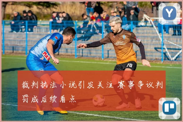 裁判执法小说引发关注 赛事争议判罚成后续看点