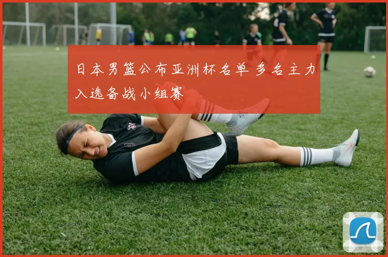 日本男篮公布亚洲杯名单 多名主力入选备战小组赛