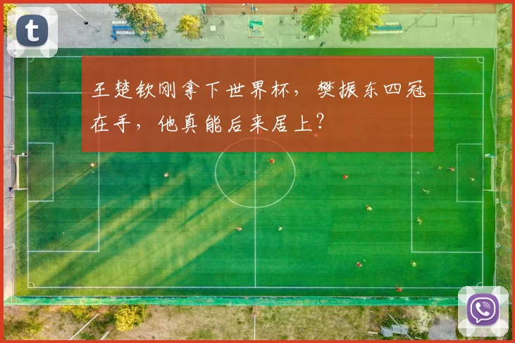 王楚钦刚拿下世界杯，樊振东四冠在手，他真能后来居上？