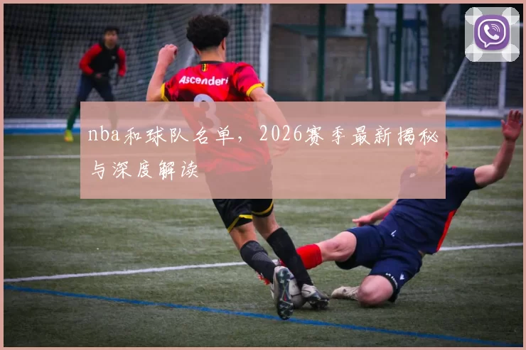nba和球队名单，2026赛季最新揭秘与深度解读