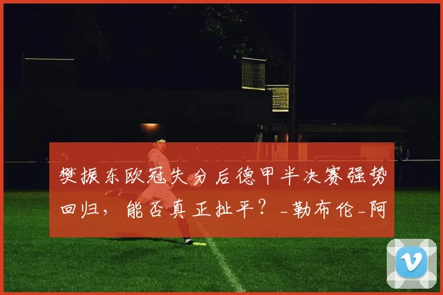 樊振东欧冠失分后德甲半决赛强势回归，能否真正扯平？_勒布伦_阿吉雷_萨尔布吕肯