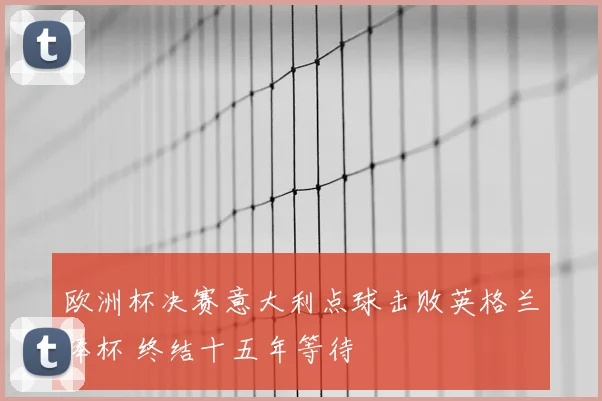 欧洲杯决赛意大利点球击败英格兰捧杯 终结十五年等待