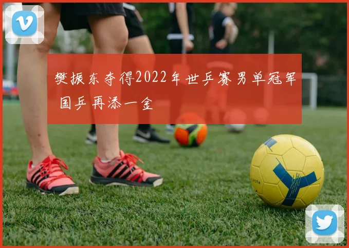 樊振东夺得2022年世乒赛男单冠军 国乒再添一金