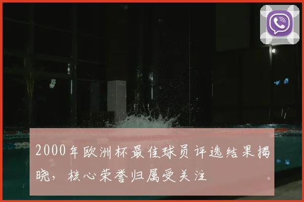 2000年欧洲杯最佳球员评选结果揭晓,核心荣誉归属受关注