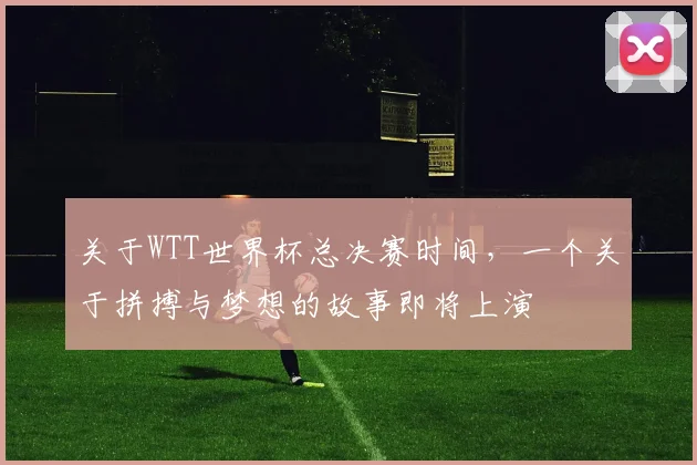 关于WTT世界杯总决赛时间，一个关于拼搏与梦想的故事即将上演
