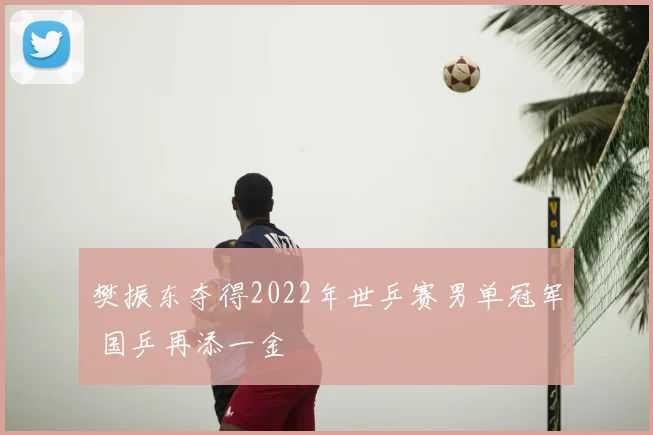 樊振东夺得2022年世乒赛男单冠军 国乒再添一金