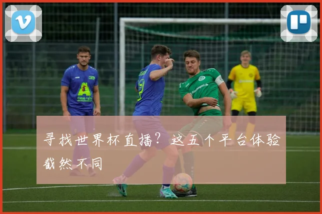 寻找世界杯直播?这五个平台体验截然不同