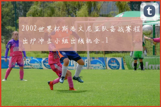 2002世界杯斯洛文尼亚队备战赛程出炉冲击小组出线机会_1