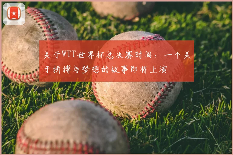 关于WTT世界杯总决赛时间，一个关于拼搏与梦想的故事即将上演